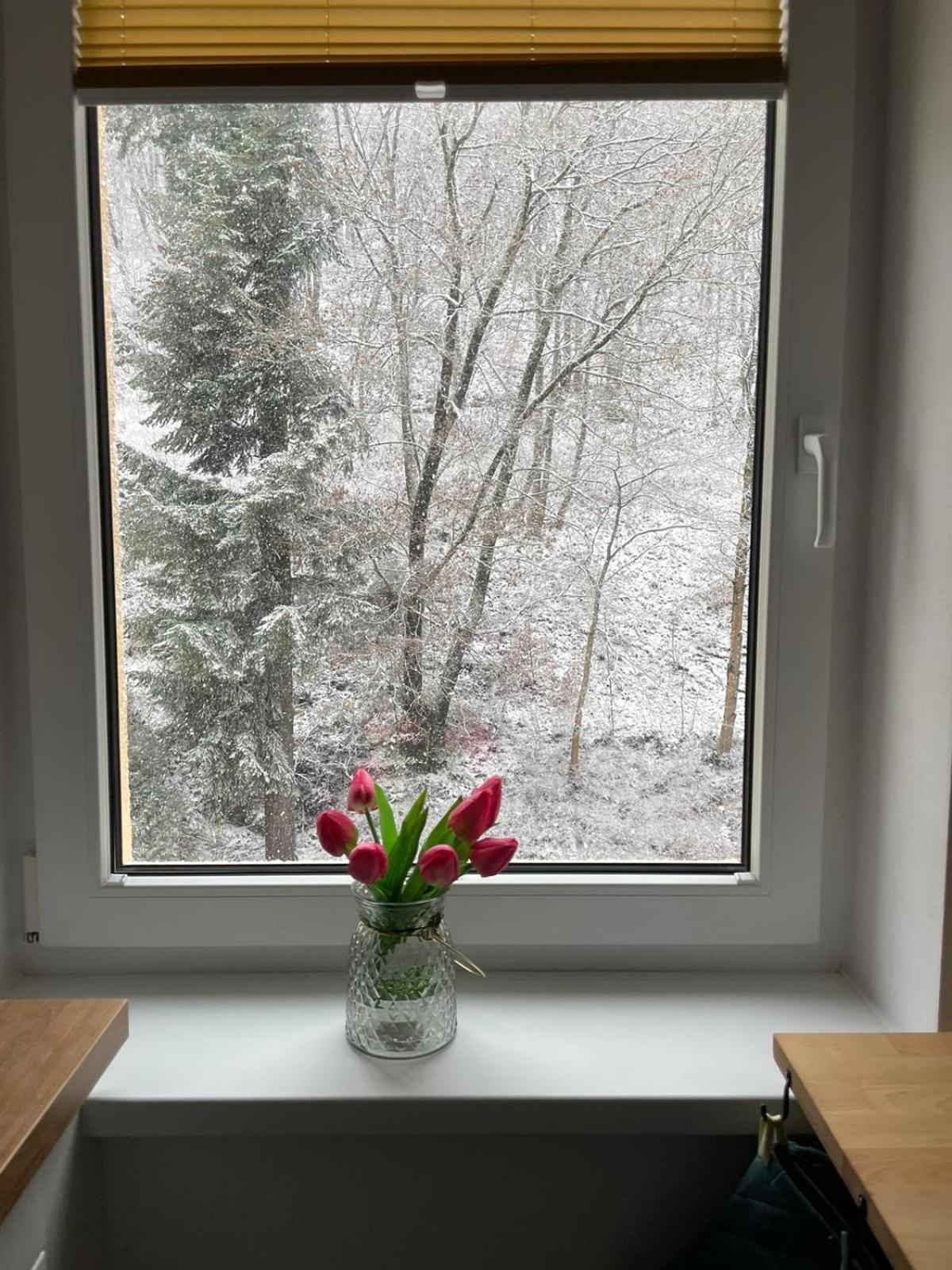Apartman Claudia - Rezidence K Lanovce Jachymov Luaran gambar